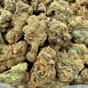 photo_2025-11-06_13-13-31