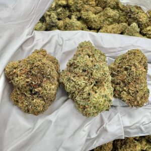 photo_2025-11-06_13-21-42