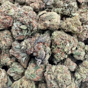 photo_2025-11-06_13-23-15