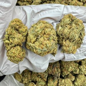 photo_2025-11-06_13-23-18