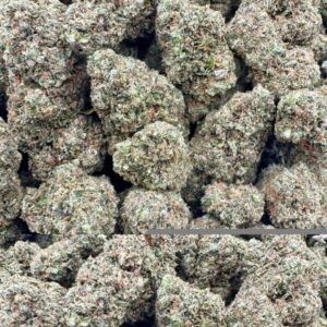 photo_2025-11-06_13-25-27