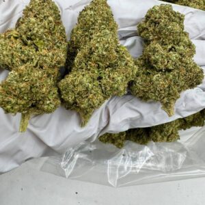 photo_2025-11-06_13-25-29