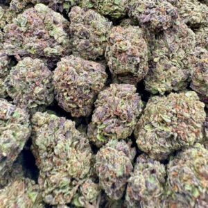 photo_2025-11-06_13-26-37