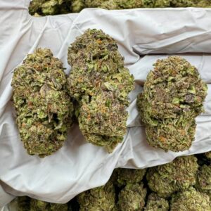 photo_2025-11-06_13-26-40