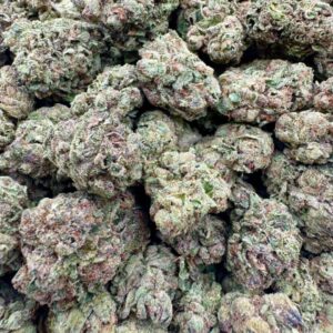 photo_2025-11-06_13-28-26