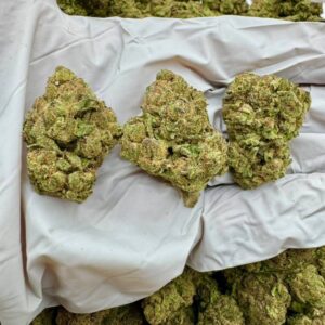 photo_2025-11-06_13-28-27