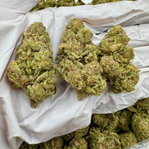 photo_2025-11-06_13-29-19