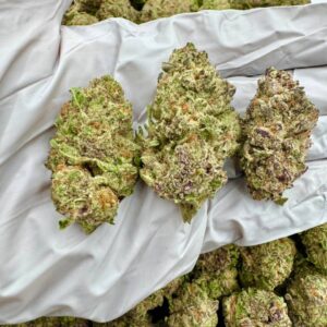 photo_2025-11-06_13-30-06 (2)