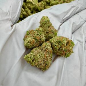 photo_2025-11-06_13-30-44