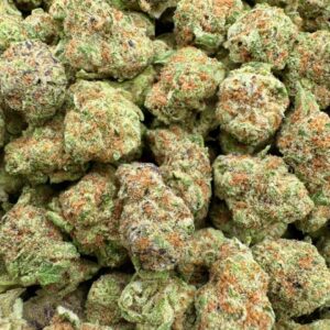 photo_2025-11-06_13-31-46