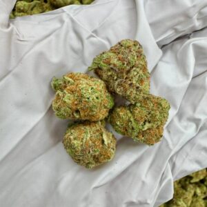 photo_2025-11-06_13-31-48