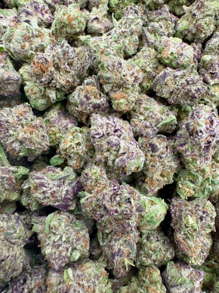 Gello Shots (Smalls)