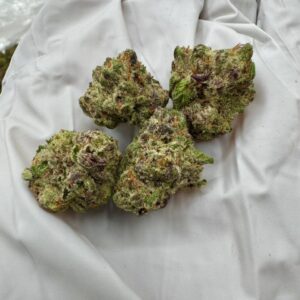 photo_2025-11-06_13-32-39 (2)