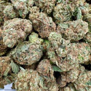 photo_2025-11-06_13-33-26 (2)