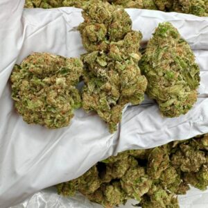 photo_2025-11-06_13-33-28 (2)