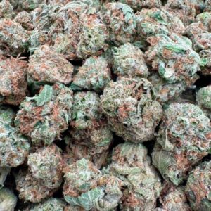 photo_2025-11-06_13-34-08