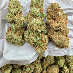 photo_2025-11-06_13-34-09