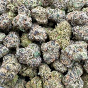 photo_2025-11-06_13-35-26