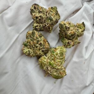 photo_2025-11-06_13-35-28