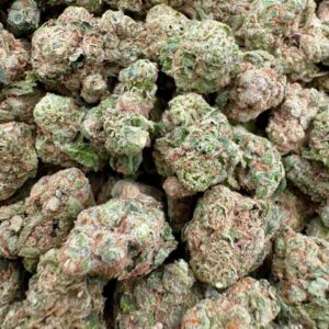 photo_2025-11-06_13-37-35