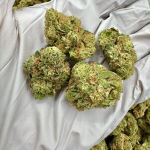 photo_2025-11-06_13-37-37