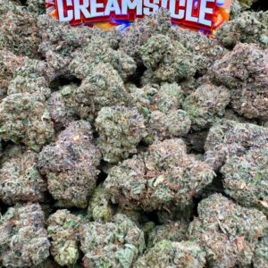 photo_2025-11-06_13-38-18