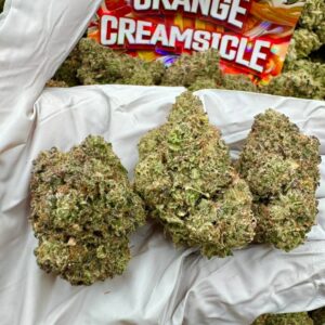 photo_2025-11-06_13-38-20