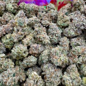 photo_2025-11-06_13-39-14