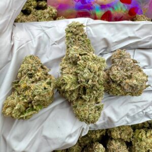 photo_2025-11-06_13-39-15