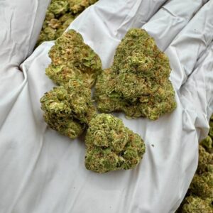 photo_2025-11-06_13-41-26