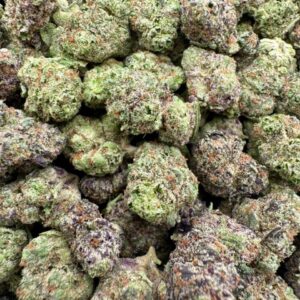 photo_2025-11-06_13-42-18