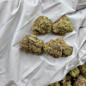 photo_2025-11-06_13-42-19