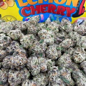 photo_2025-11-06_13-44-19