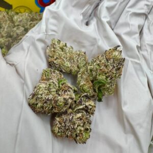 photo_2025-11-06_13-44-21