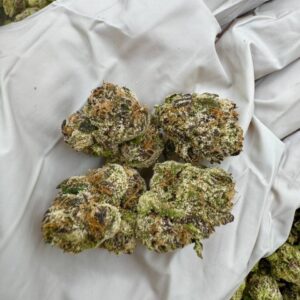 photo_2025-11-06_13-45-43