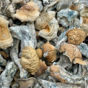 photo_2025-11-06_13-49-53