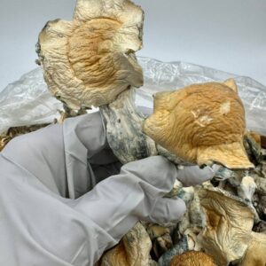 photo_2025-11-06_13-49-54