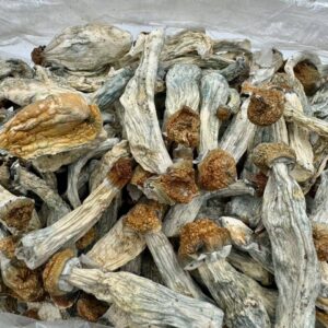 photo_2025-11-06_13-50-20