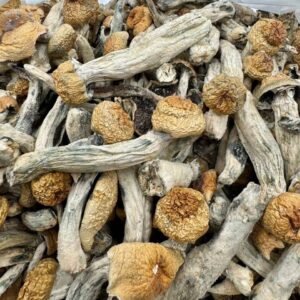 photo_2025-11-06_13-50-48