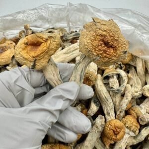 photo_2025-11-06_13-50-50