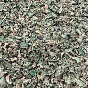 photo_2025-11-06_13-51-20