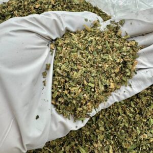 photo_2025-11-06_13-51-22