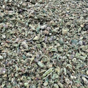 photo_2025-11-06_13-51-57