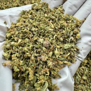 photo_2025-11-06_13-51-59